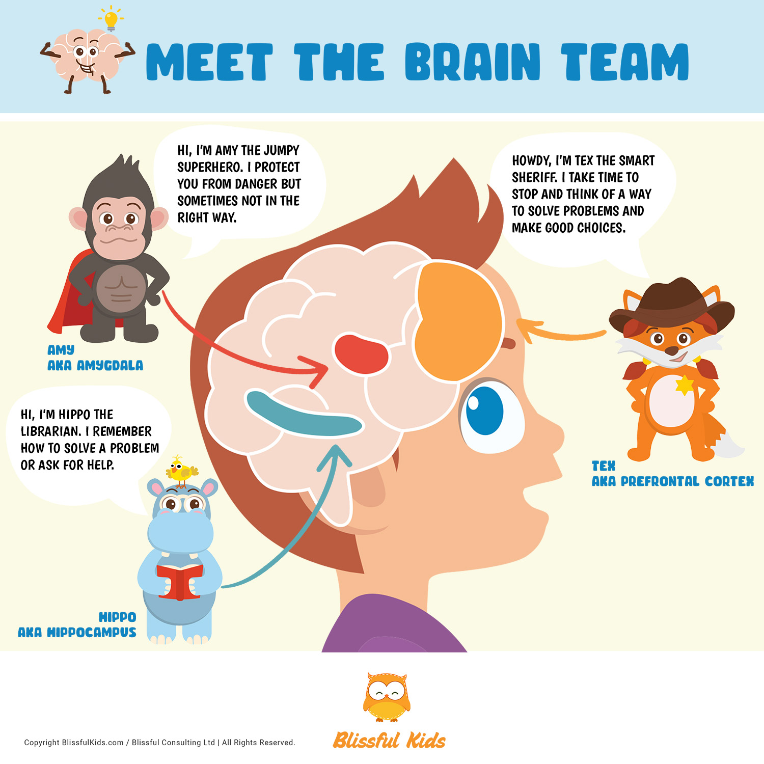 https://blissfulkids.com/wp-content/uploads/2023/04/how-to-explain-the-brain-and-stress-response-to-children-5.jpg?utm_source=chatgpt.com